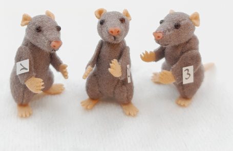 Ratte - 2,3 cm - 30 €