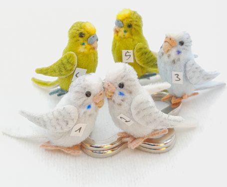 Wellensittich - 2,5 cm - je 28 €