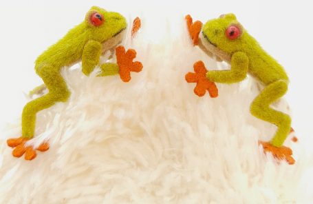 Rotaugenlaubfrosch-3,5 cm lang-je 30 €