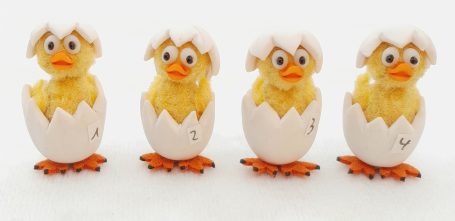 Küken im Ei - ca. 2,5 cm - je 25 €